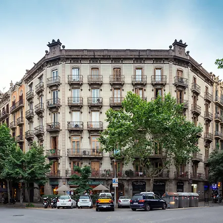 プリマベーラ *